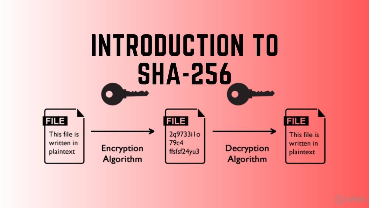 SHA-256.jpg