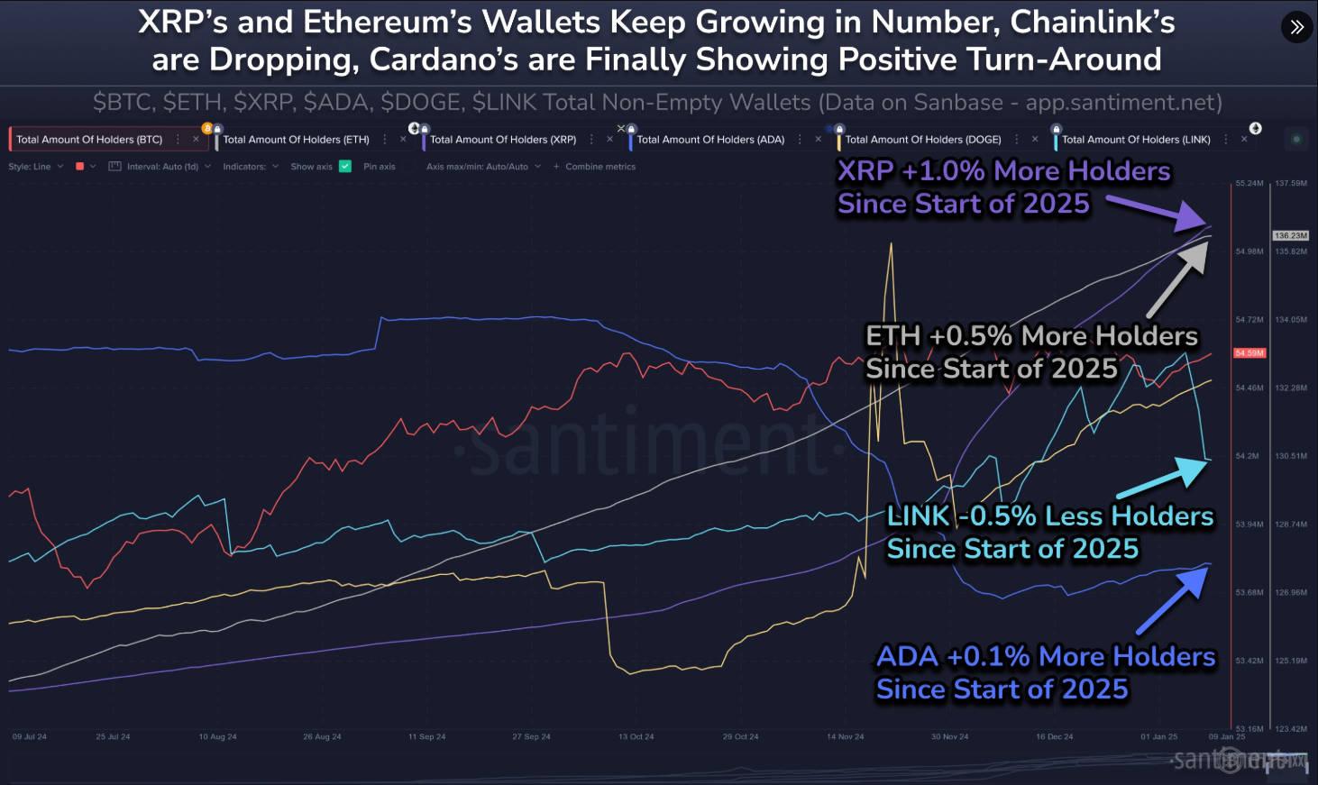 XRP钱包.jpg