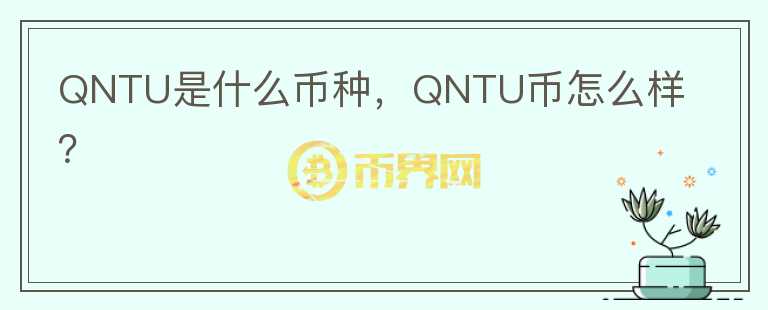 QNTU是什么币种，QNTU币怎么样？图标