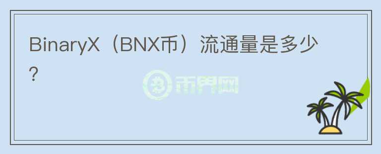 BinaryX（BNX币）流通量是多少？图标