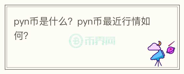 pyn币是什么？pyn币最近行情如何？图标