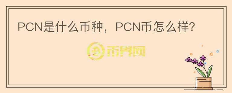 PCN是什么币种，PCN币怎么样？图标