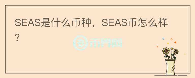 SEAS是什么币种，SEAS币怎么样？图标