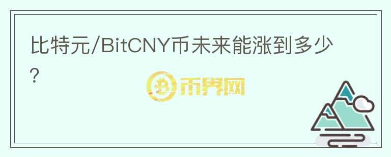 比特元/BitCNY币未来能涨到多少？