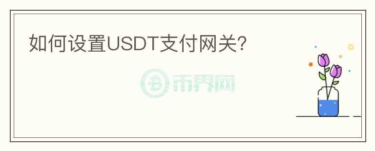 如何设置USDT支付网关？图标