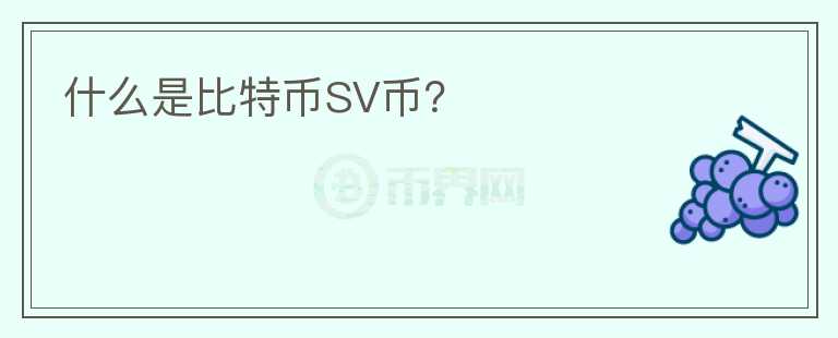 什么是比特币SV币？图标