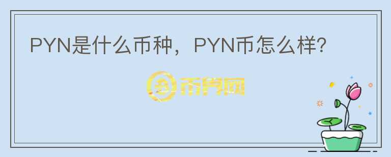 PYN是什么币种，PYN币怎么样？图标