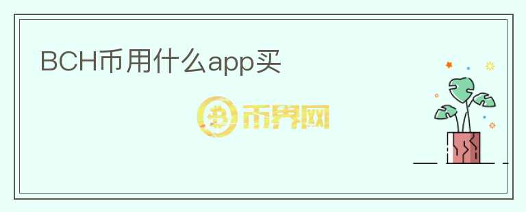 bch币用什么app买