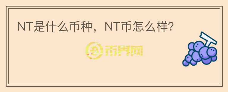 NT是什么币种，NT币怎么样？图标