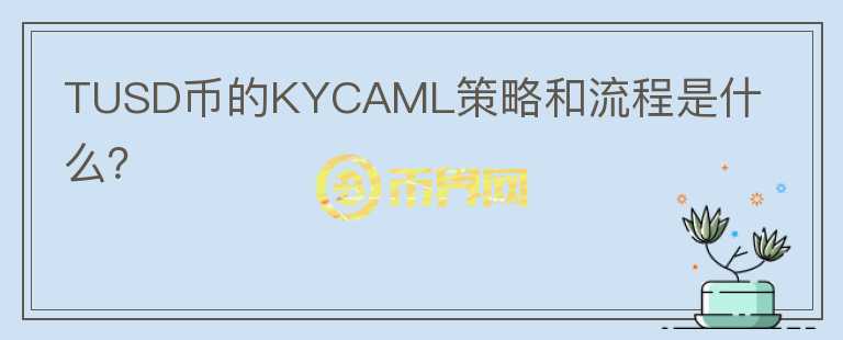 TUSD币的KYCAML策略和流程是什么？图标