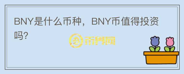 BNY是什么币种，BNY币值得投资吗？图标