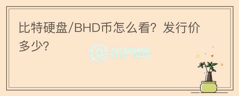 比特硬盘/BHD币怎么看？发行价多少？