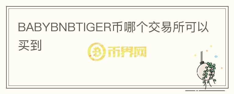 BABYBNBTIGER币哪个交易所可以买到图标