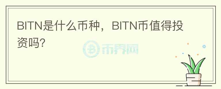 BITN是什么币种，BITN币值得投资吗？图标