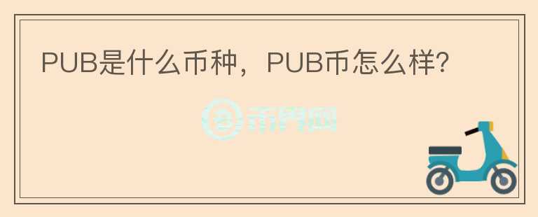 PUB是什么币种，PUB币怎么样？图标