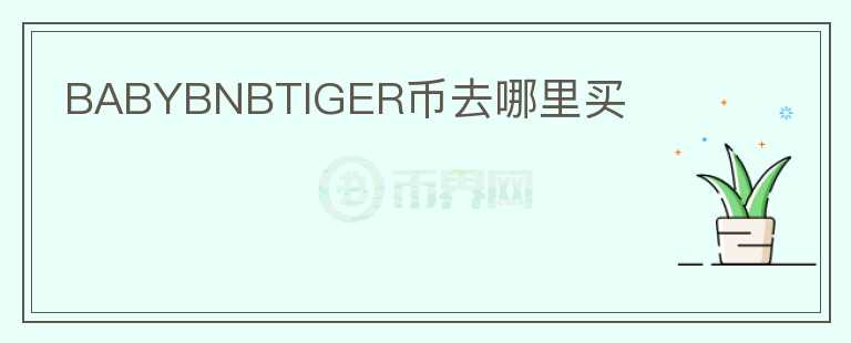 BABYBNBTIGER币去哪里买图标