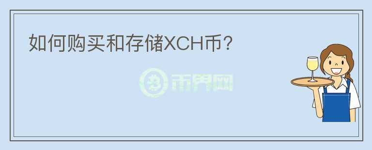 如何购买和存储XCH币？图标