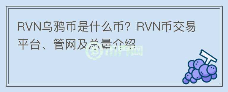 RVN乌鸦币是什么币？RVN币交易平台、管网及总量介绍图标