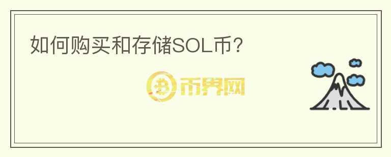 如何购买和存储SOL币？图标