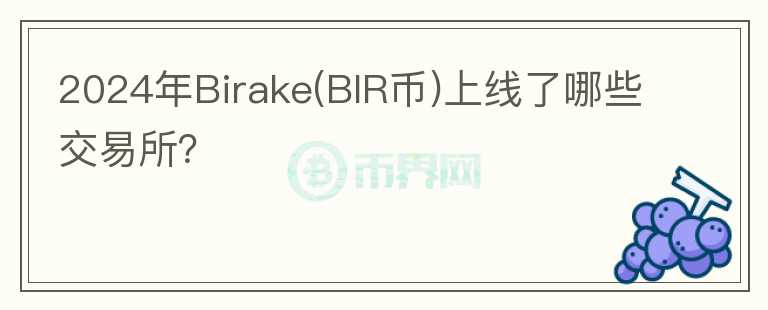 2024年Birake(BIR币)上线了哪些交易所？图标