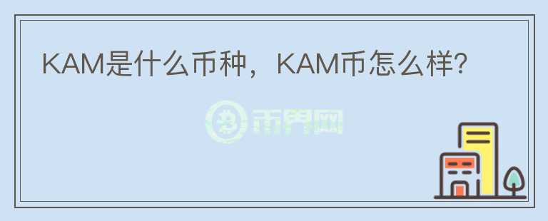 KAM是什么币种，KAM币怎么样？图标