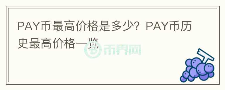 PAY币最高价格是多少？PAY币历史最高价格一览图标