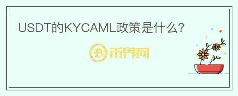 USDT的KYCAML政策是什么？图标