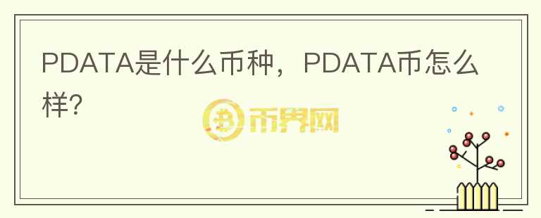 PDATA是什么币种，PDATA币怎么样？图标