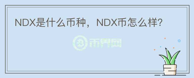 NDX是什么币种，NDX币怎么样？图标