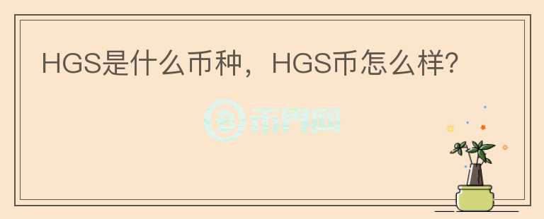 HGS是什么币种，HGS币怎么样？图标