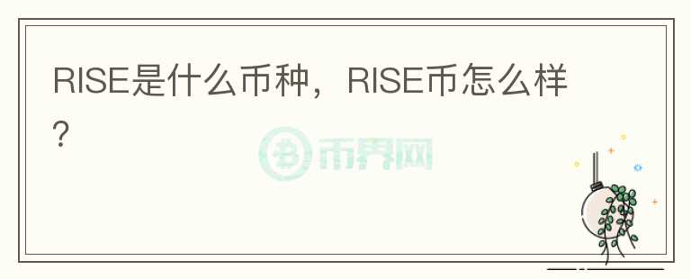 RISE是什么币种，RISE币怎么样？图标