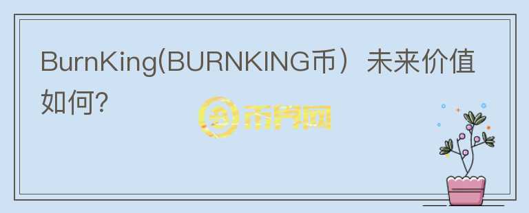 BurnKing(BURNKING币）未来价值如何？图标