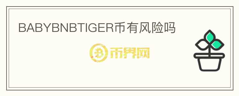 BABYBNBTIGER币有风险吗图标