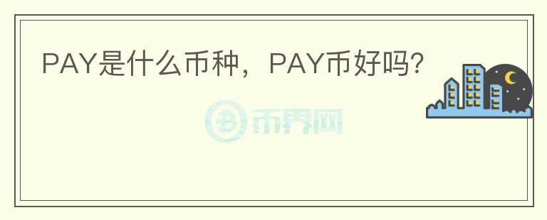 PAY是什么币种，PAY币好吗？图标