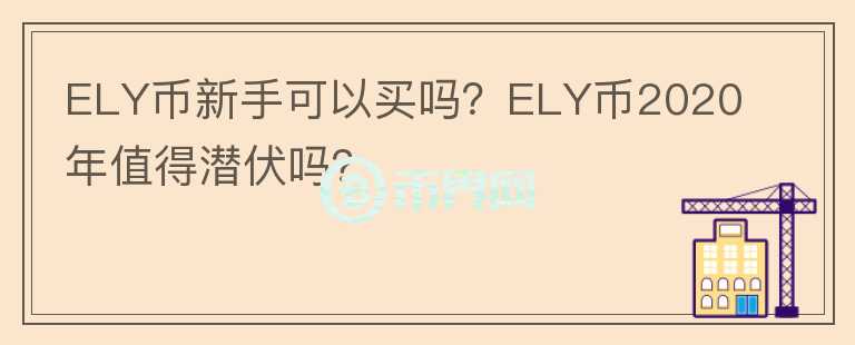 ELY币新手可以买吗？ELY币2020年值得潜伏吗？