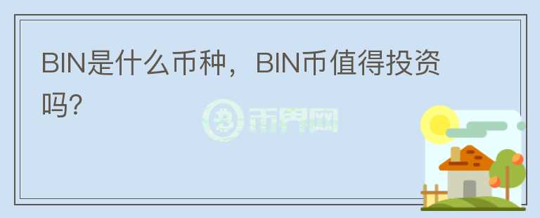 BIN是什么币种，BIN币值得投资吗？图标