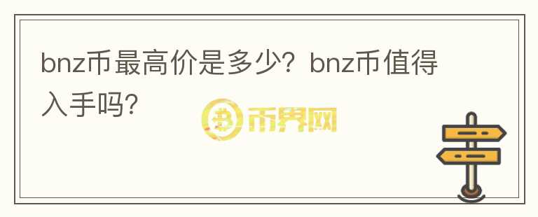 bnz币最高价是多少？bnz币值得入手吗？图标