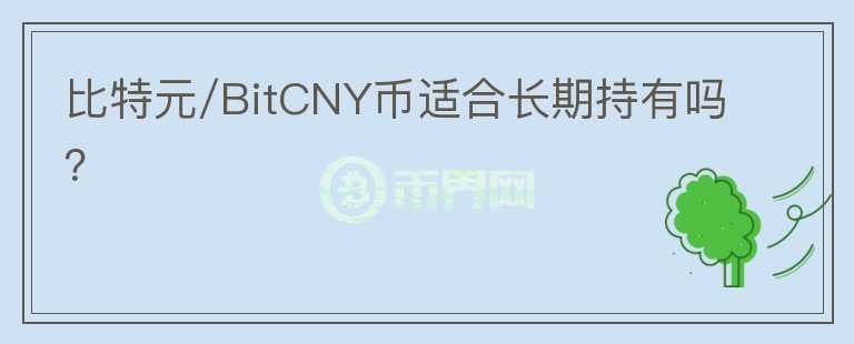 比特元/BitCNY币适合长期持有吗？