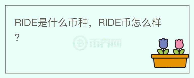 RIDE是什么币种，RIDE币怎么样？图标