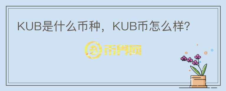 KUB是什么币种，KUB币怎么样？图标