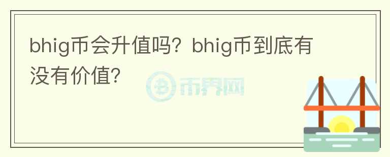 bhig币会升值吗？bhig币到底有没有价值？图标