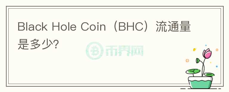 Black Hole Coin（BHC）流通量是多少？图标