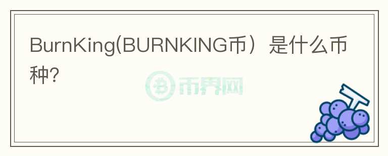 BurnKing(BURNKING币）是什么币种？图标