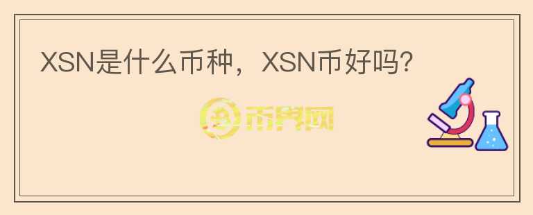 XSN是什么币种，XSN币好吗？图标