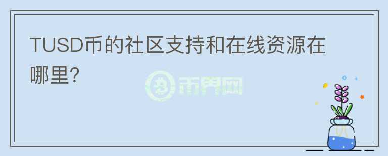 TUSD币的社区支持和在线资源在哪里？图标