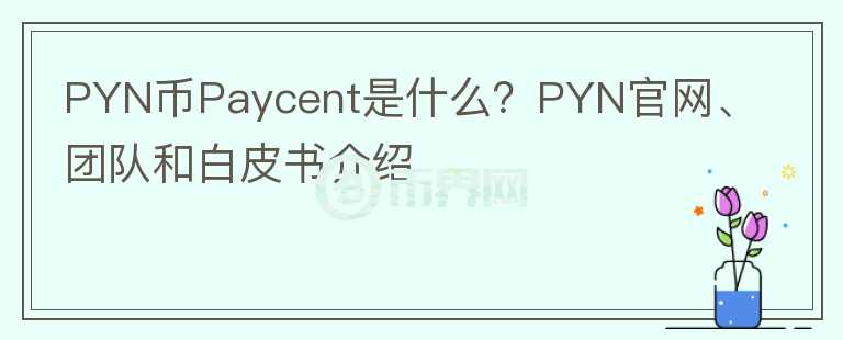 PYN币Paycent是什么？PYN官网、团队和白皮书介绍图标