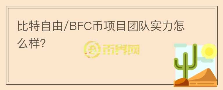 比特自由/BFC币项目团队实力怎么样？