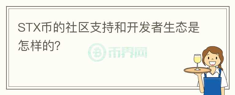 STX币的社区支持和开发者生态是怎样的？图标