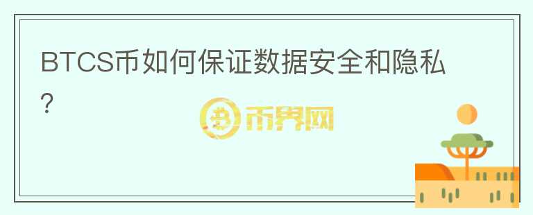 BTCS币如何保证数据安全和隐私？图标